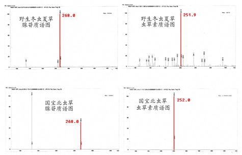 腺苷质谱对比图