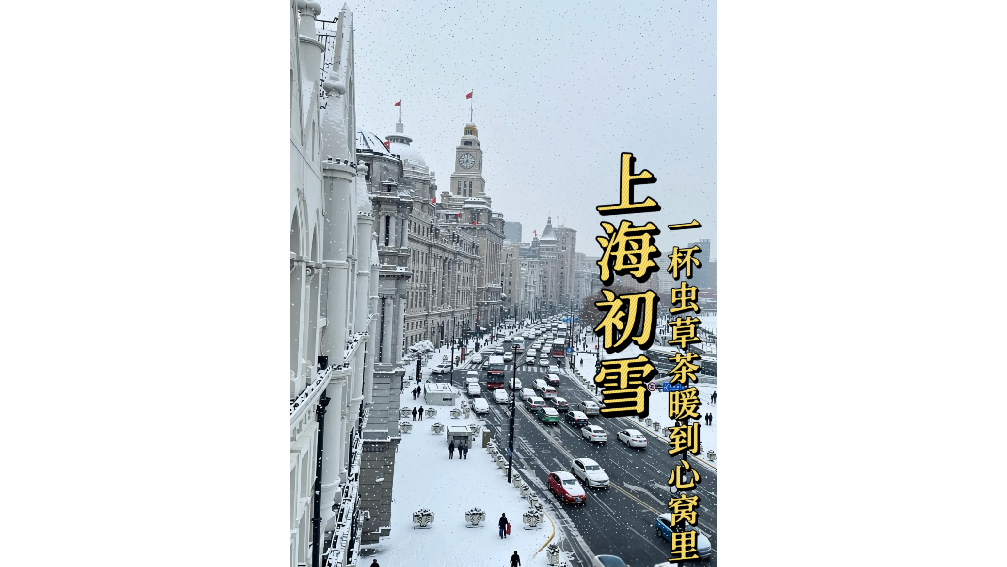 上海初雪，一杯虫草茶暖到心窝里！